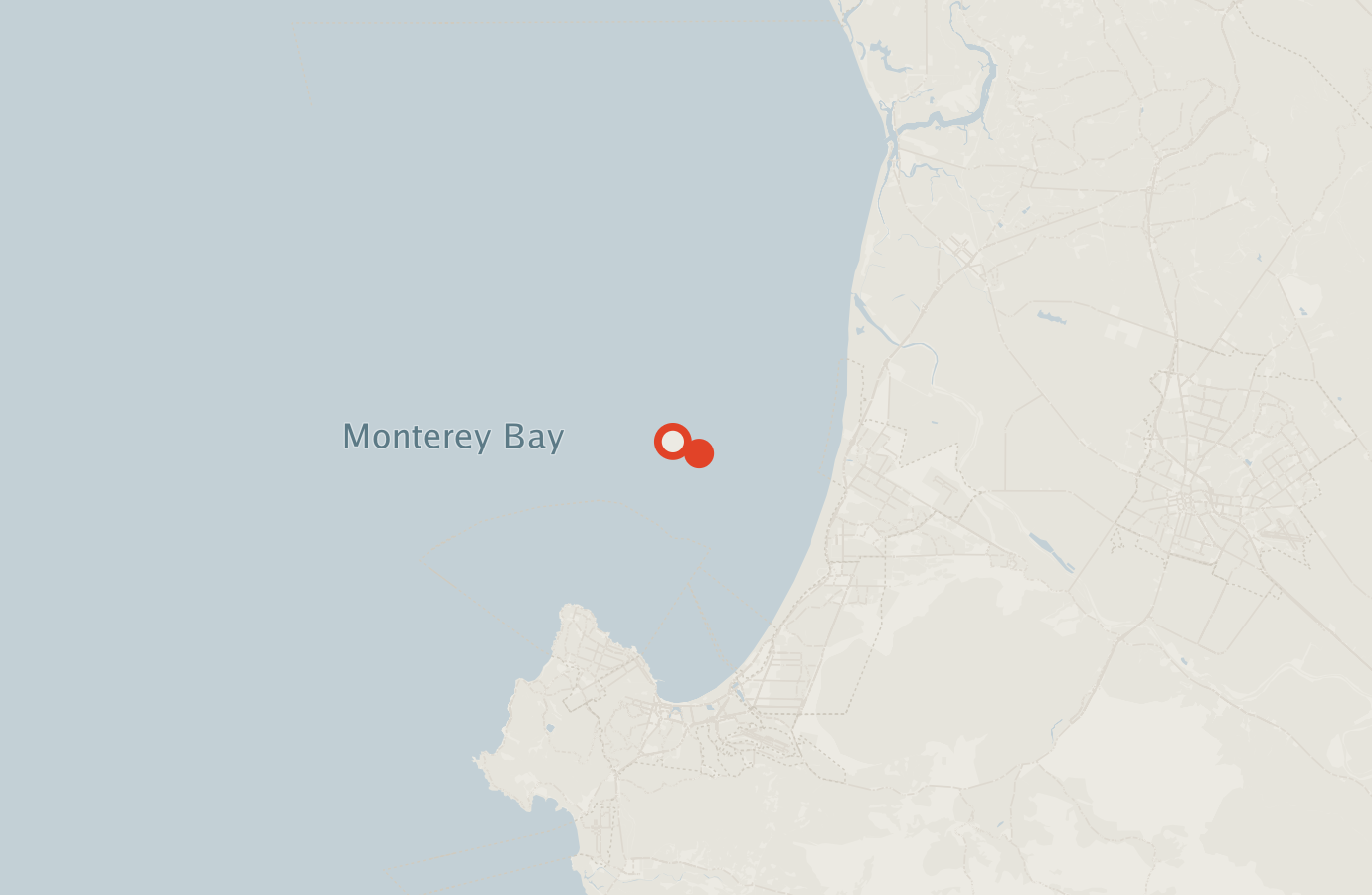Activity map — real sighting points on an OpenStreetMap basemap