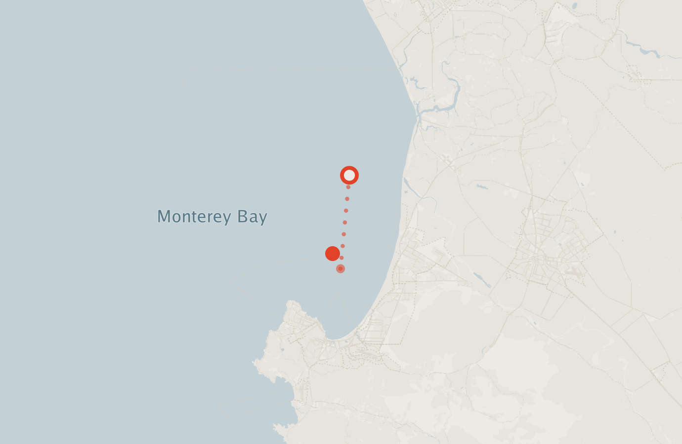 Activity map — real sighting points on an OpenStreetMap basemap
