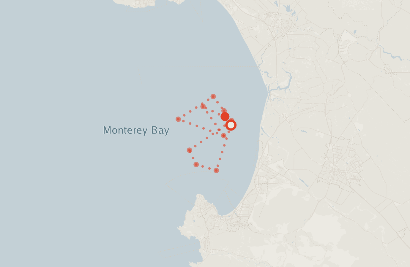 Activity map — real sighting points on an OpenStreetMap basemap