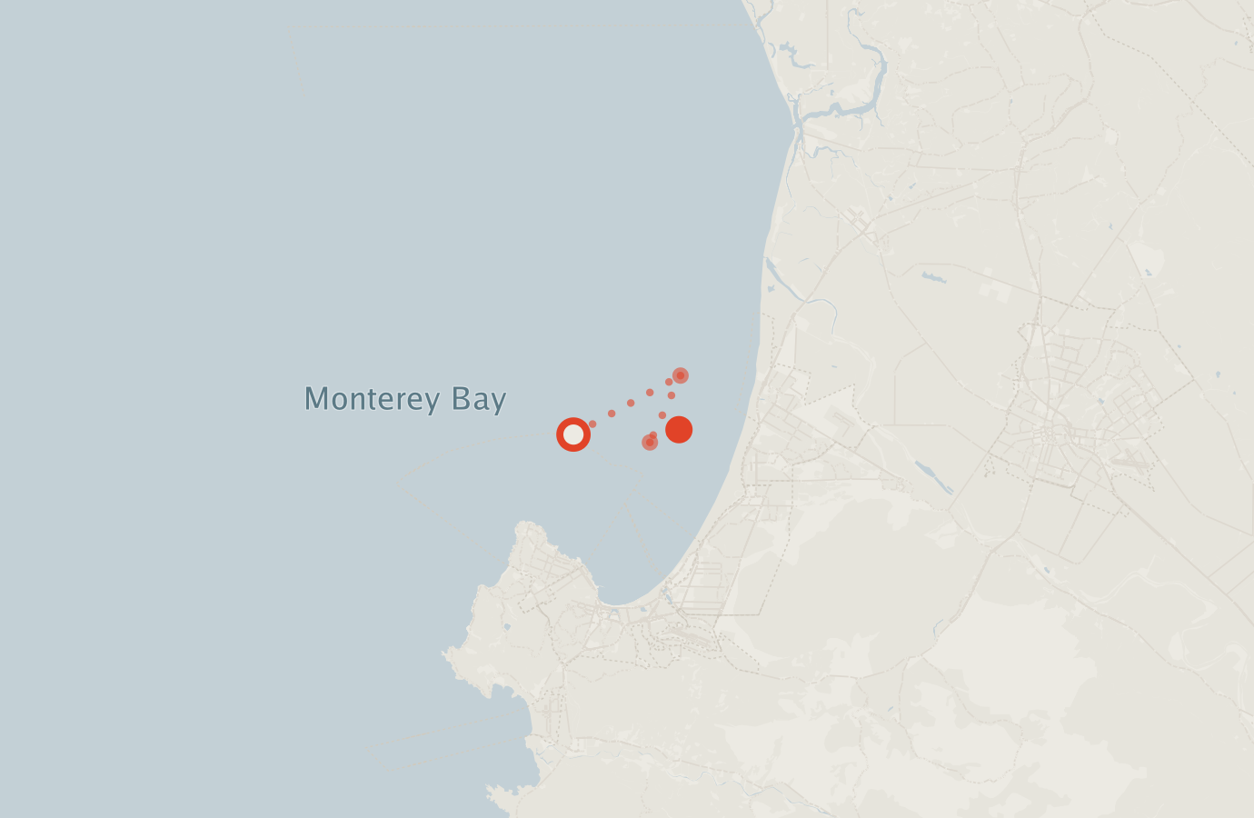 Activity map — real sighting points on an OpenStreetMap basemap