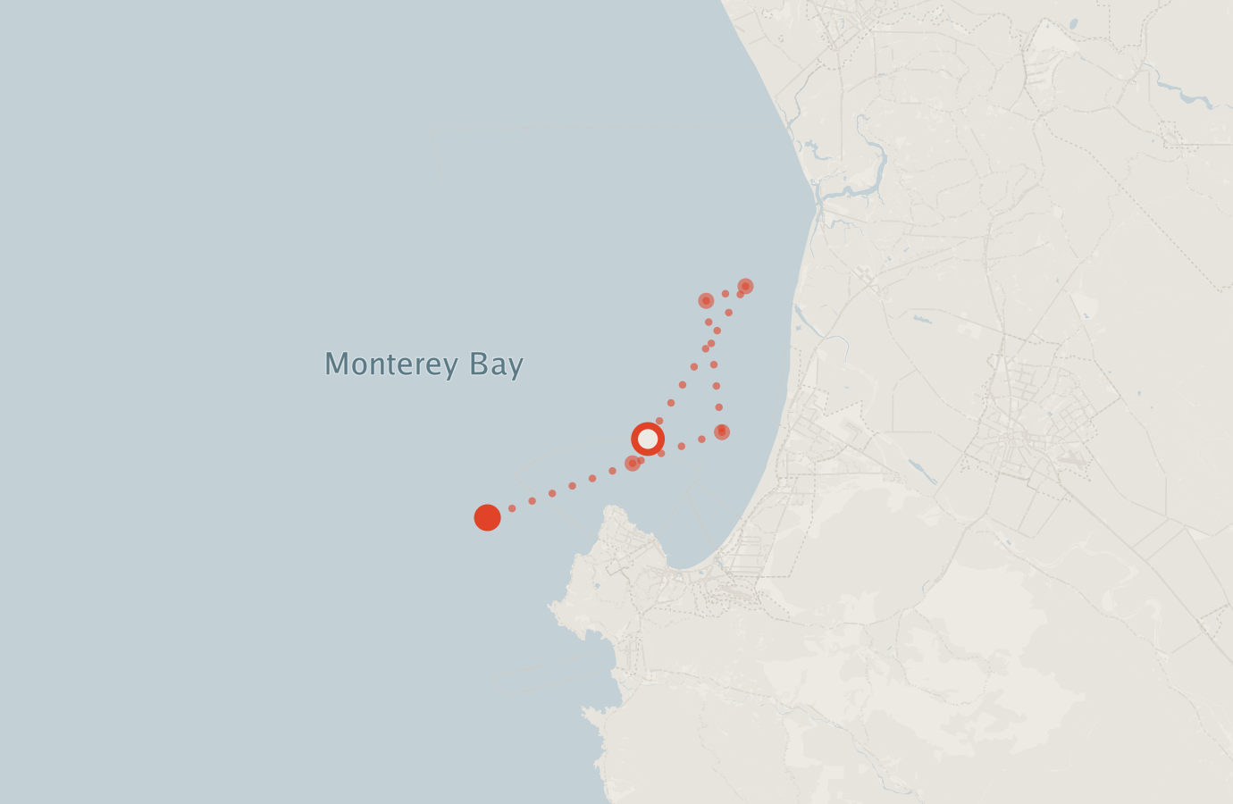 Activity map — real sighting points on an OpenStreetMap basemap