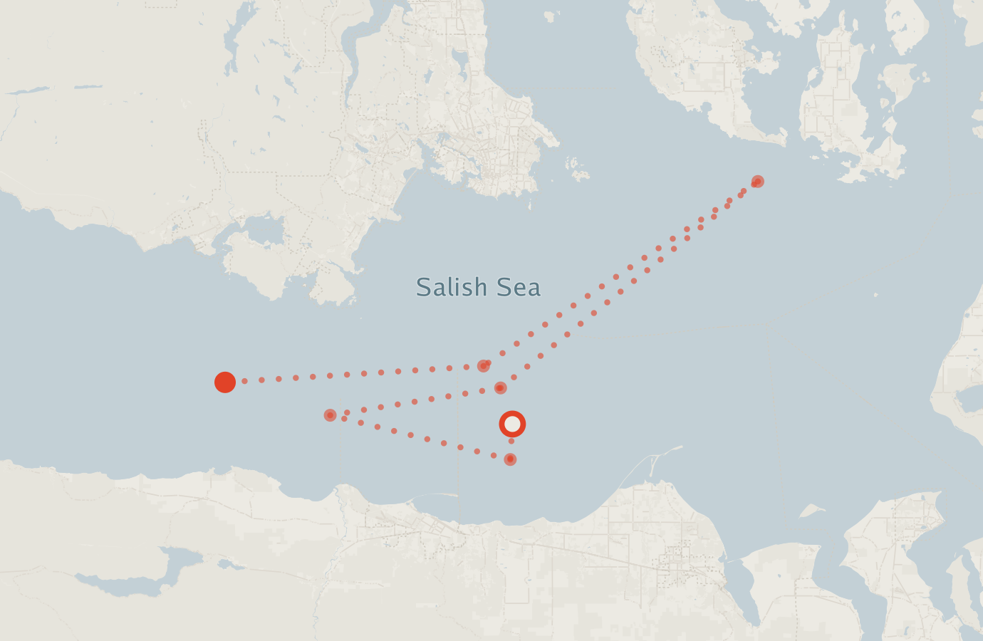 Activity map — real sighting points on an OpenStreetMap basemap