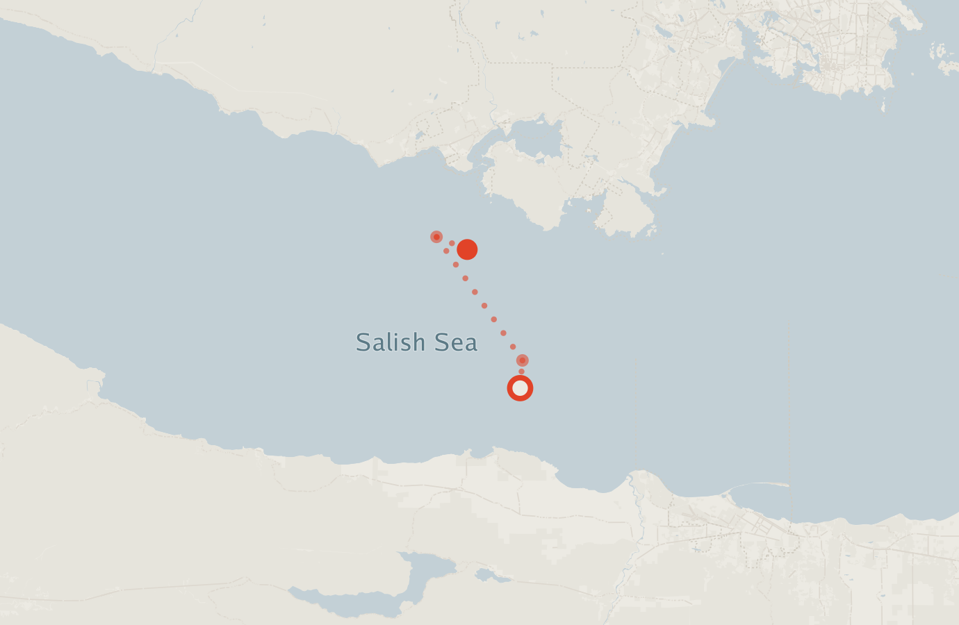 Activity map — real sighting points on an OpenStreetMap basemap