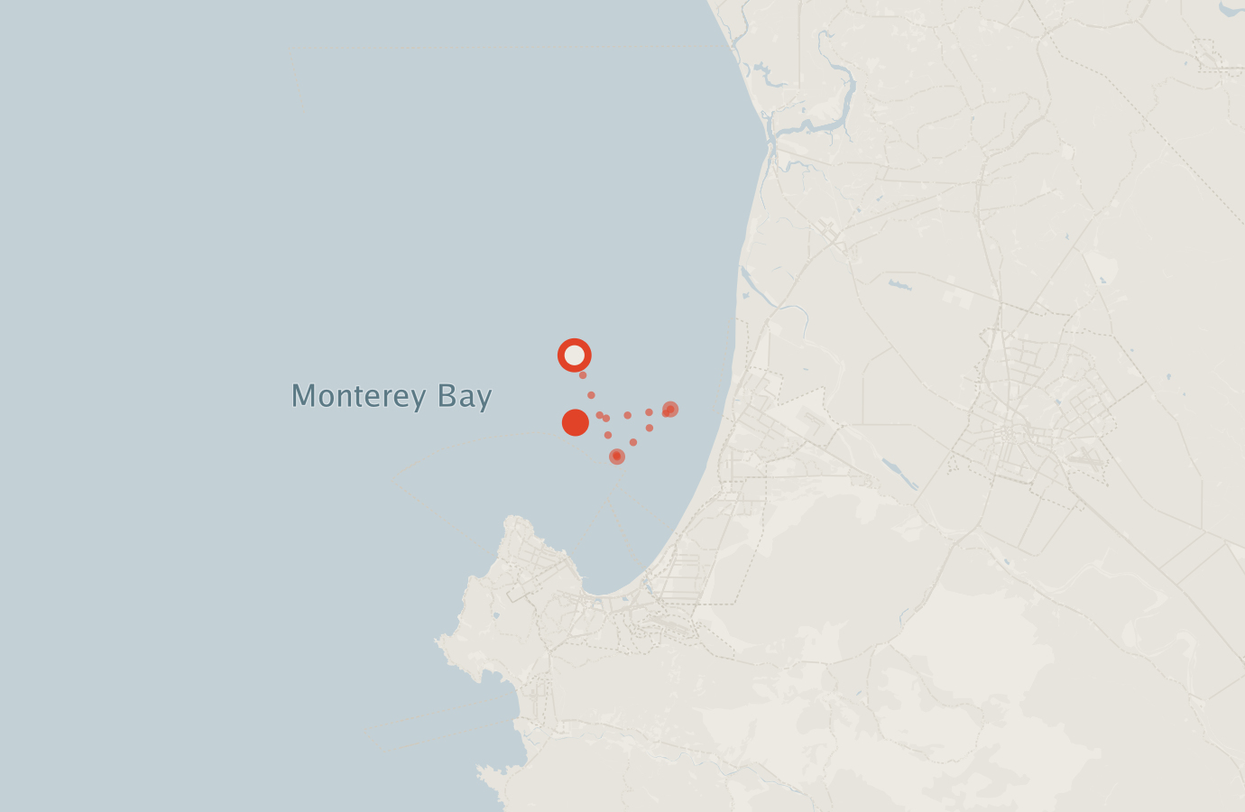 Activity map — real sighting points on an OpenStreetMap basemap