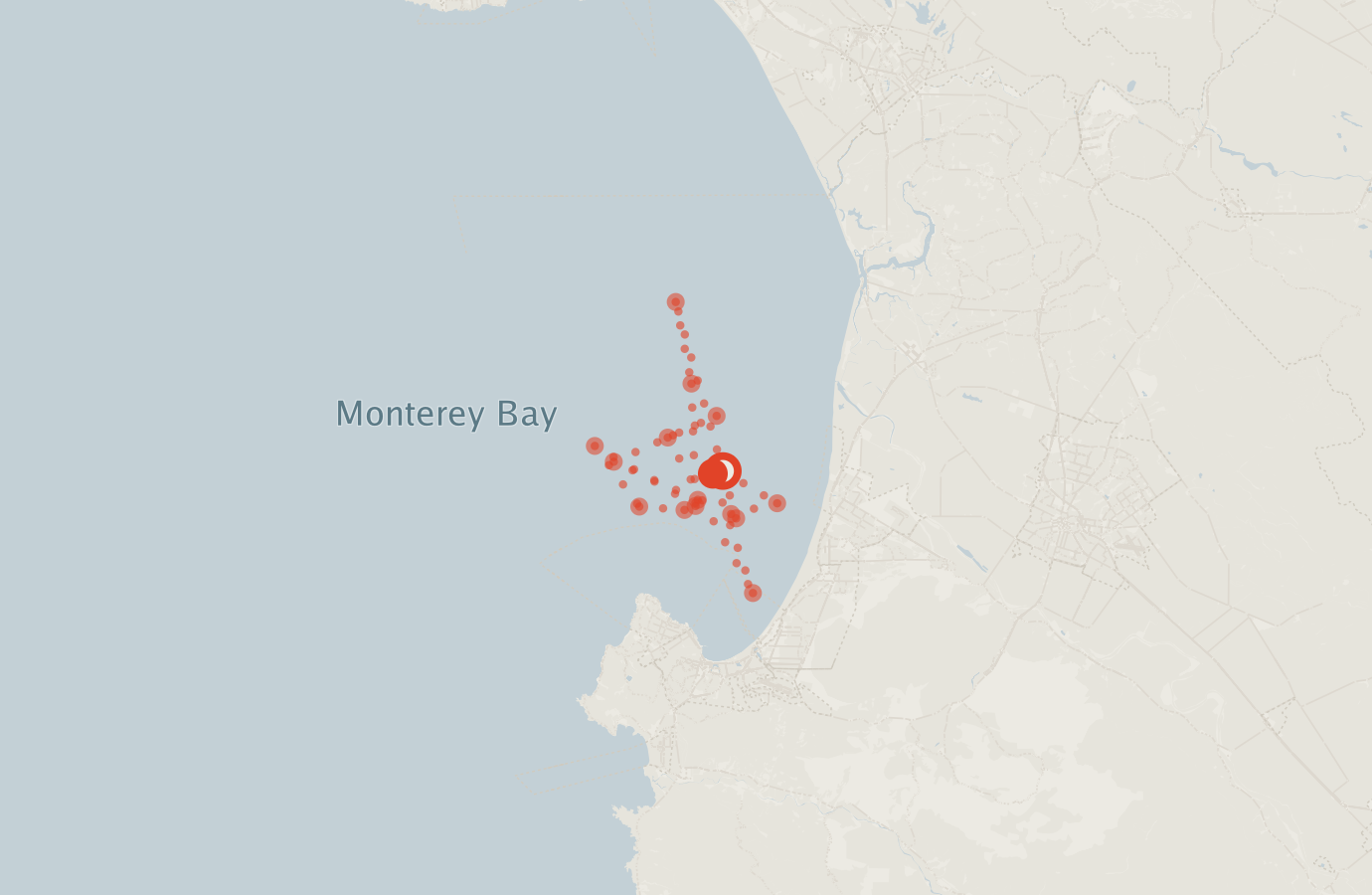 Activity map — real sighting points on an OpenStreetMap basemap