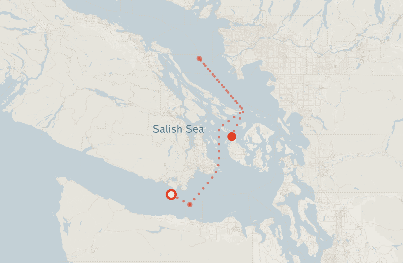 Activity map — real sighting points on an OpenStreetMap basemap