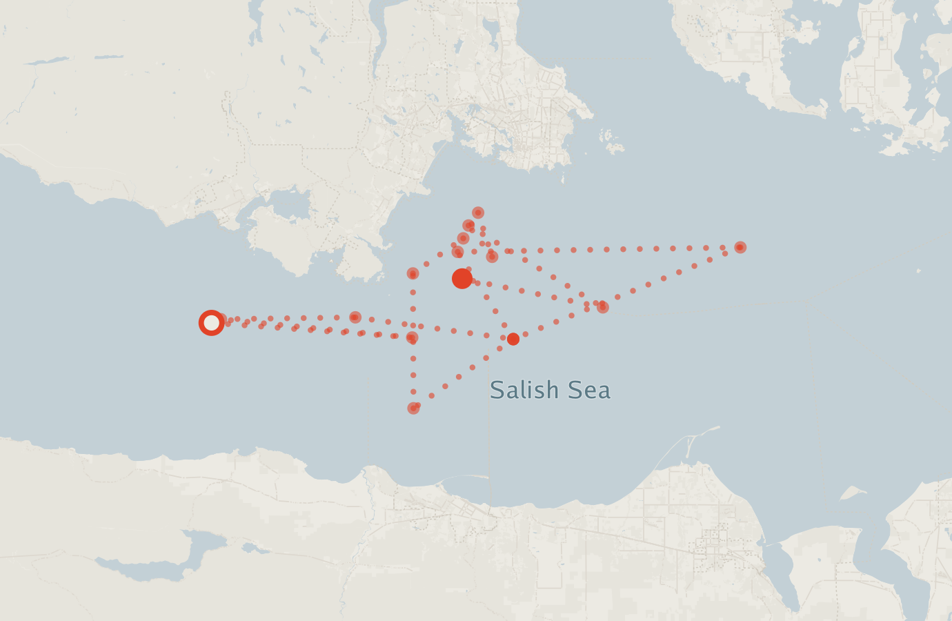 Activity map — real sighting points on an OpenStreetMap basemap