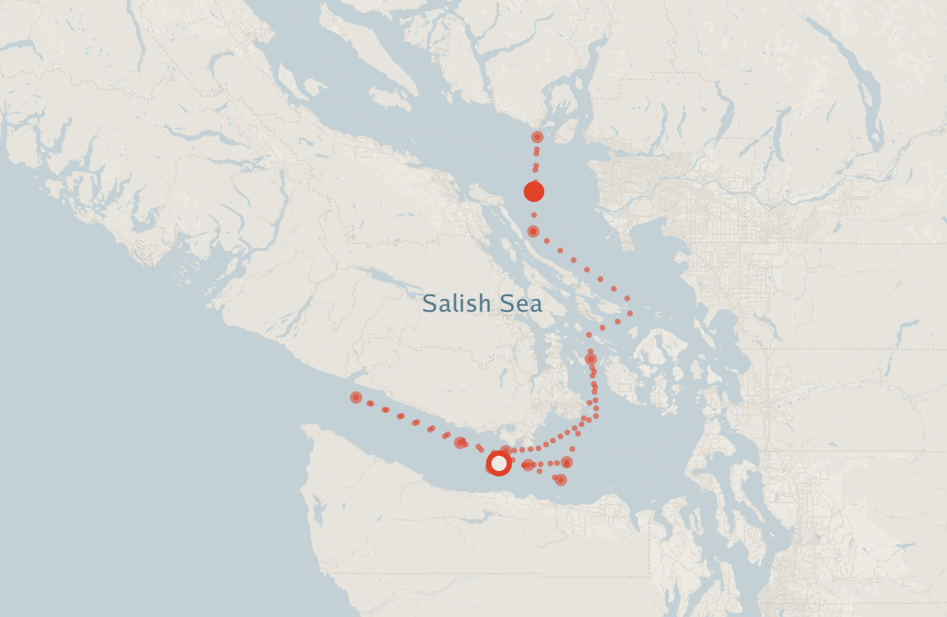 Activity map — real sighting points on an OpenStreetMap basemap