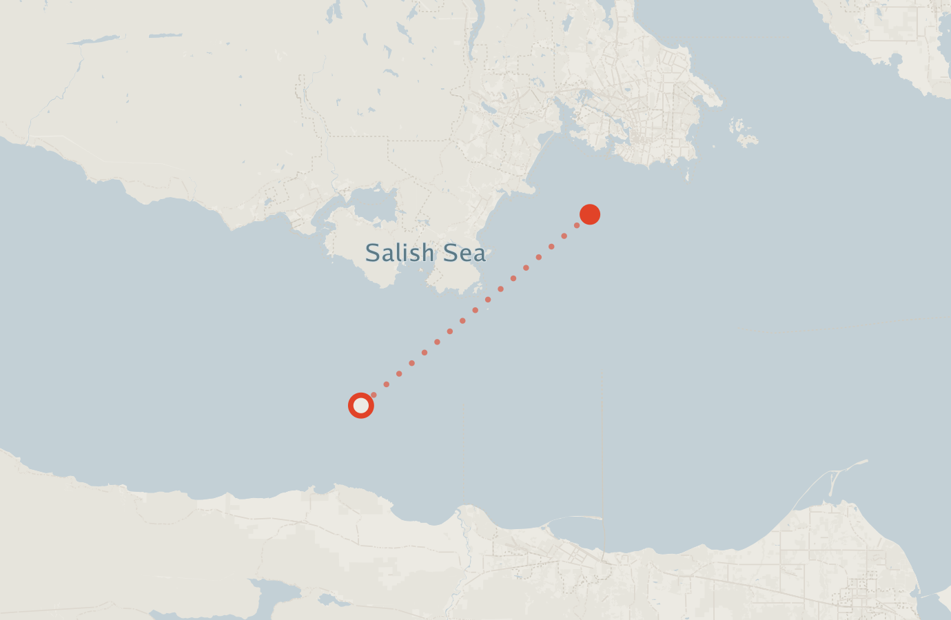 Activity map — real sighting points on an OpenStreetMap basemap