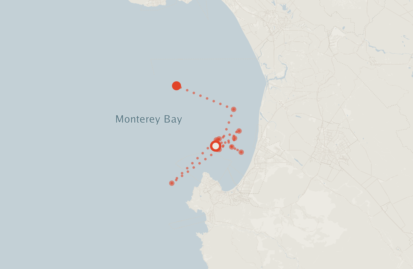 Activity map — real sighting points on an OpenStreetMap basemap