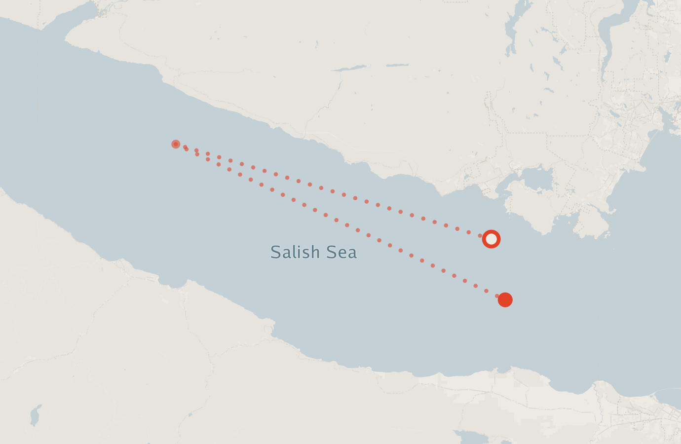 Activity map — real sighting points on an OpenStreetMap basemap