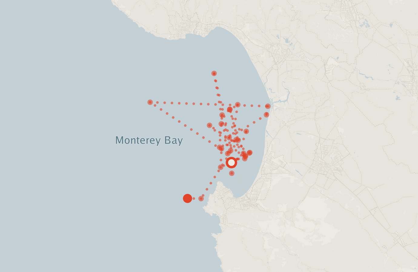 Activity map — real sighting points on an OpenStreetMap basemap