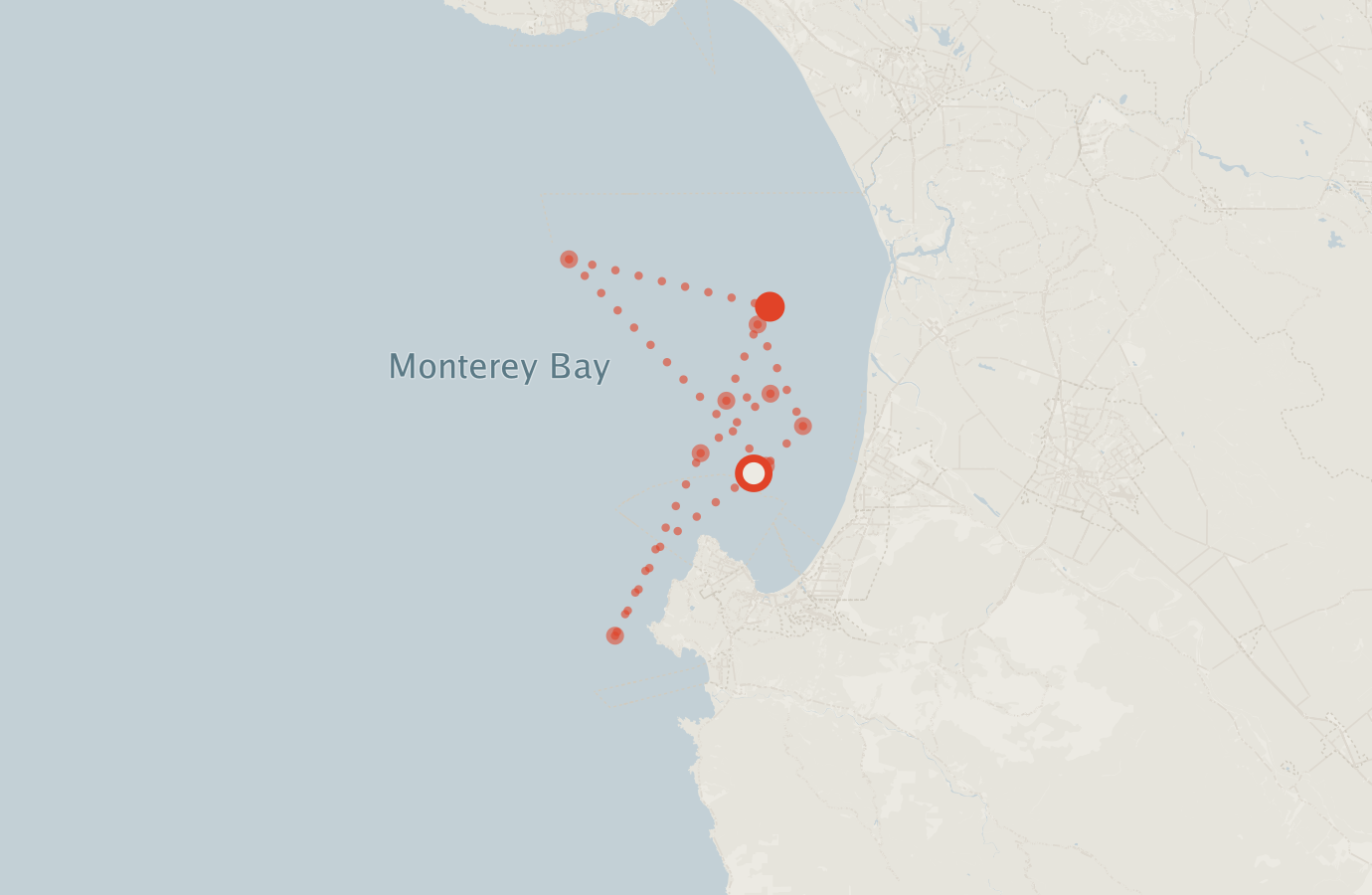 Activity map — real sighting points on an OpenStreetMap basemap