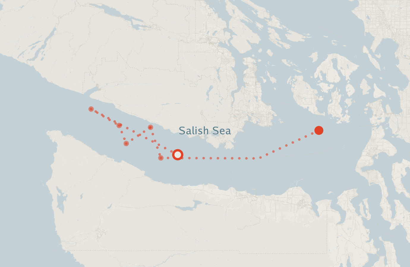 Activity map — real sighting points on an OpenStreetMap basemap