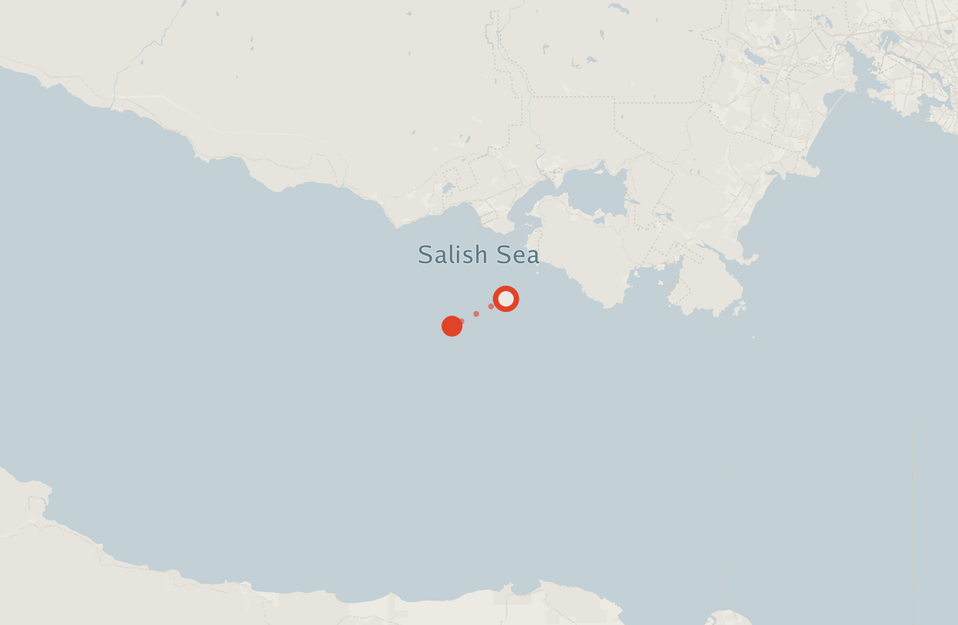 Activity map — real sighting points on an OpenStreetMap basemap