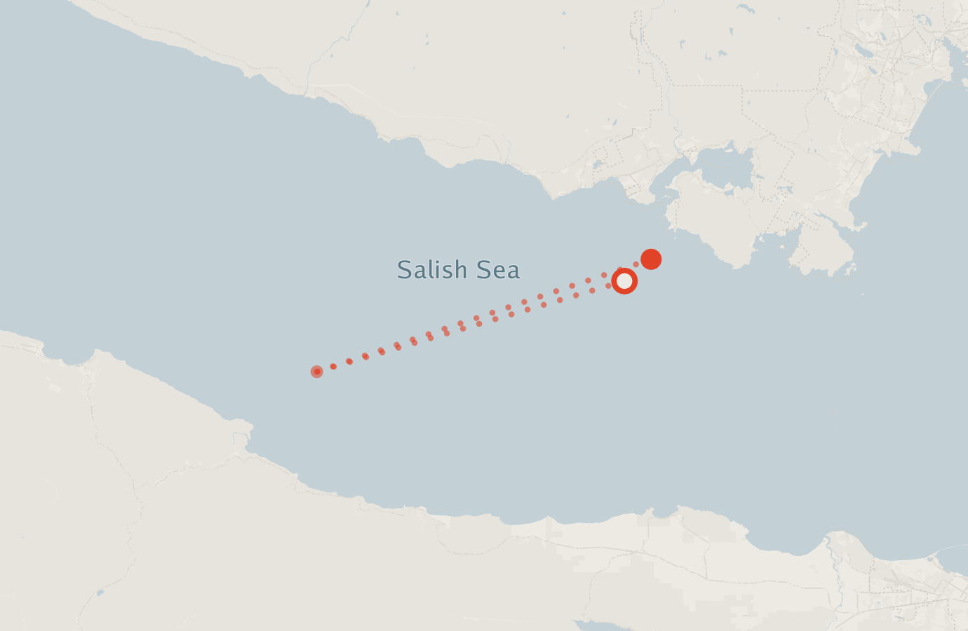 Activity map — real sighting points on an OpenStreetMap basemap