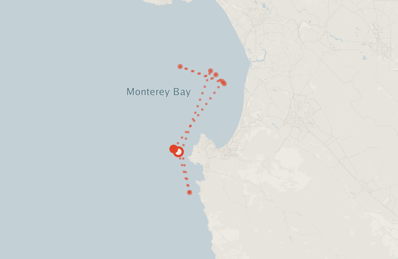 Activity map — real sighting points on an OpenStreetMap basemap