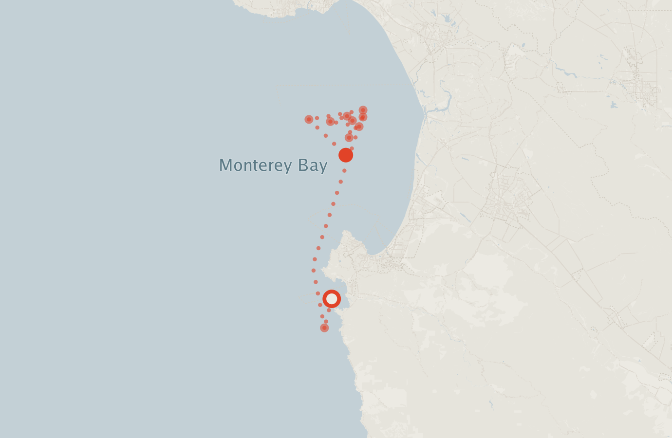 Activity map — real sighting points on an OpenStreetMap basemap