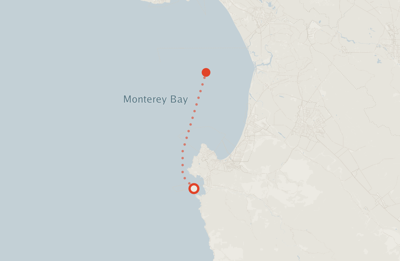 Activity map — real sighting points on an OpenStreetMap basemap