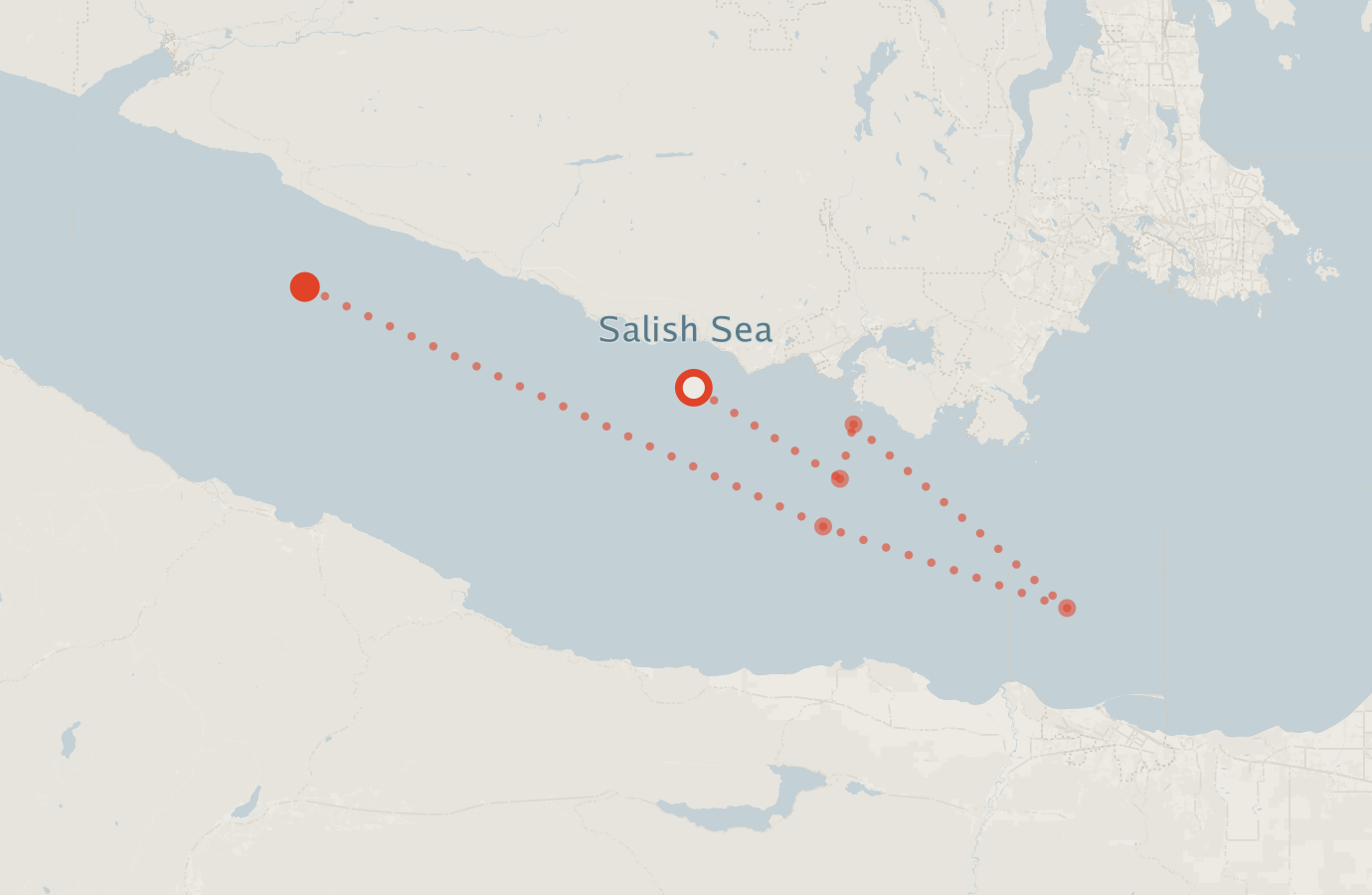 Activity map — real sighting points on an OpenStreetMap basemap