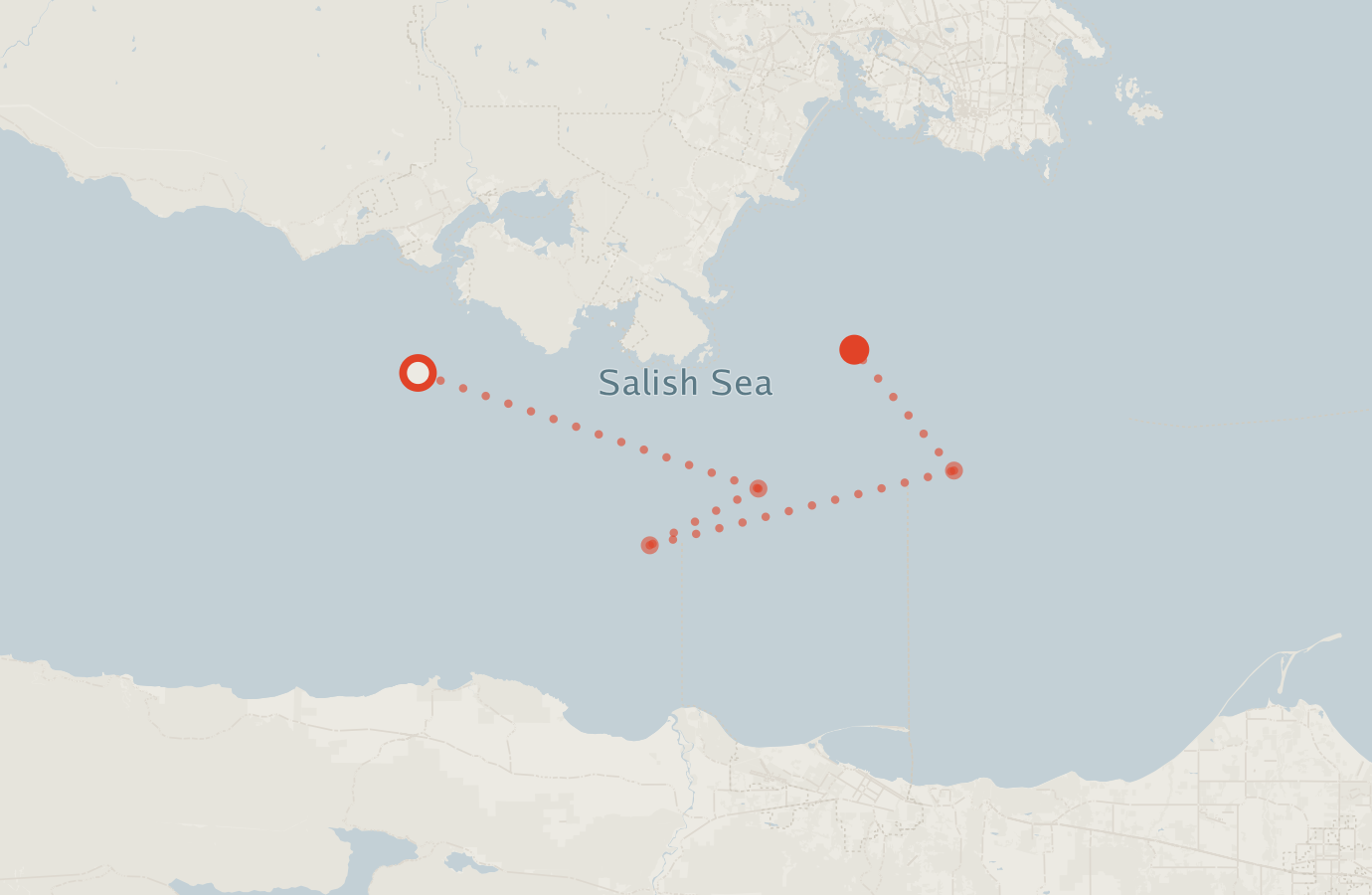 Activity map — real sighting points on an OpenStreetMap basemap