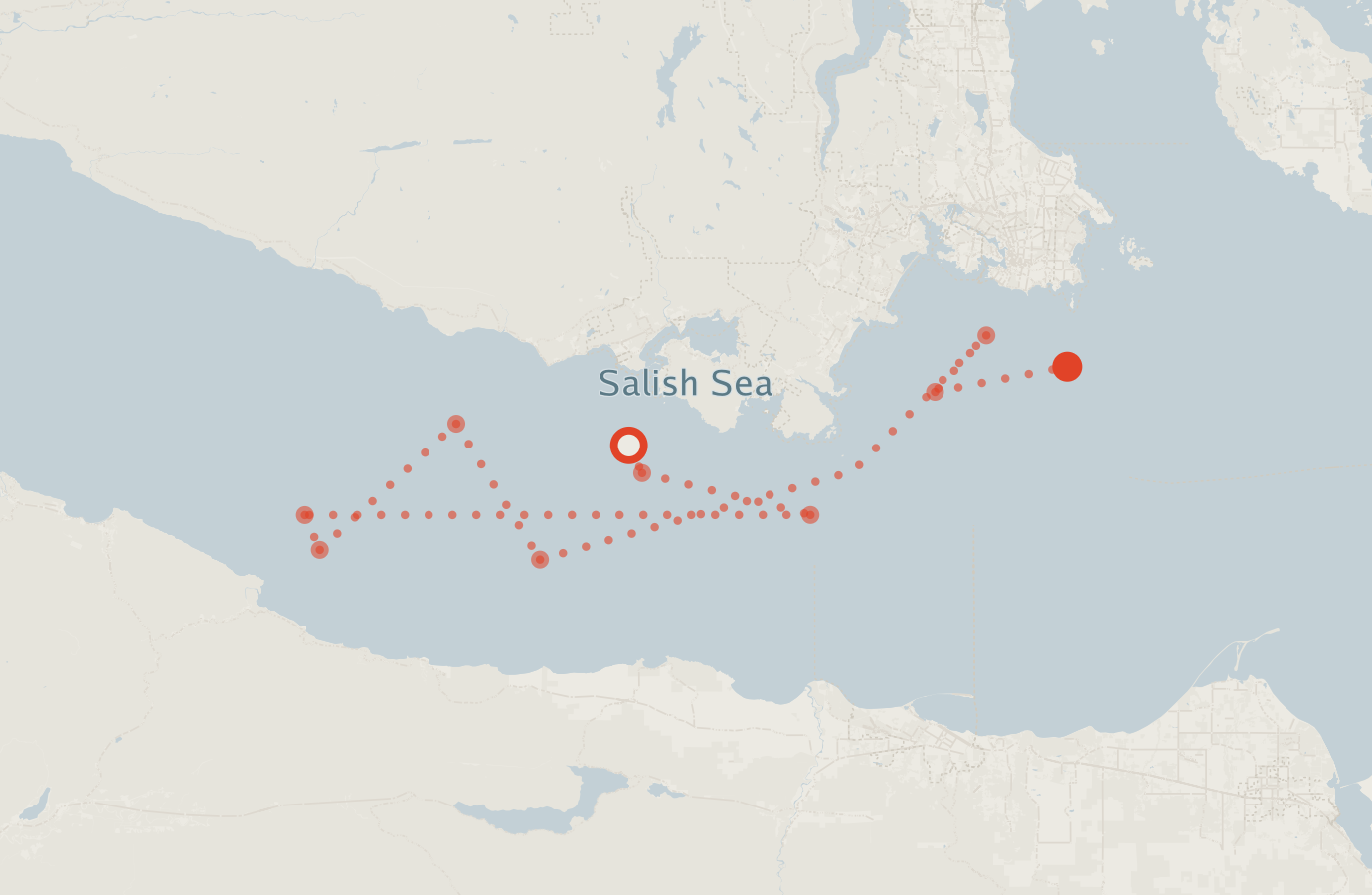 Activity map — real sighting points on an OpenStreetMap basemap