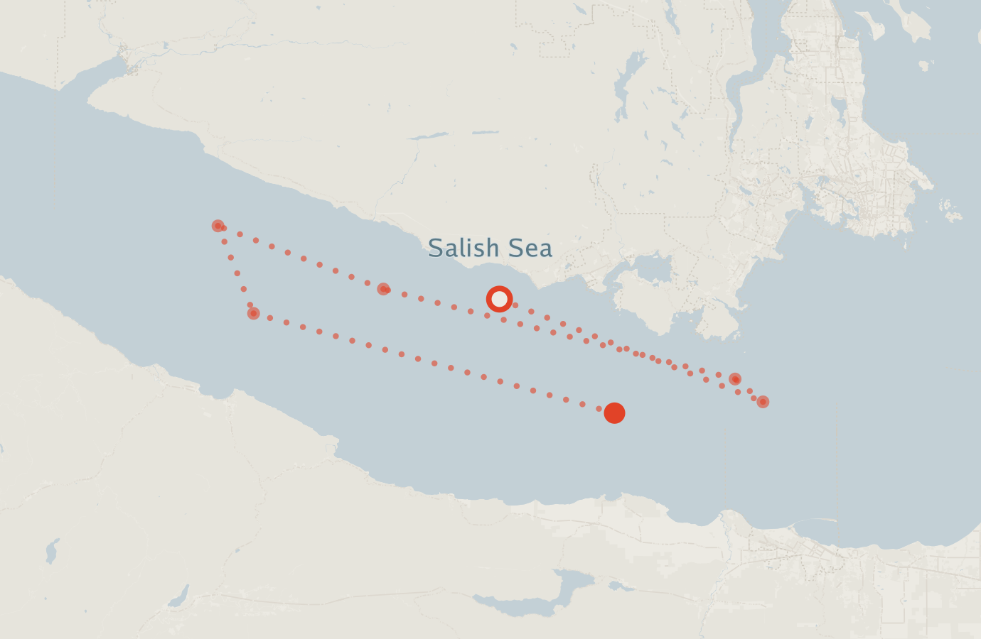 Activity map — real sighting points on an OpenStreetMap basemap