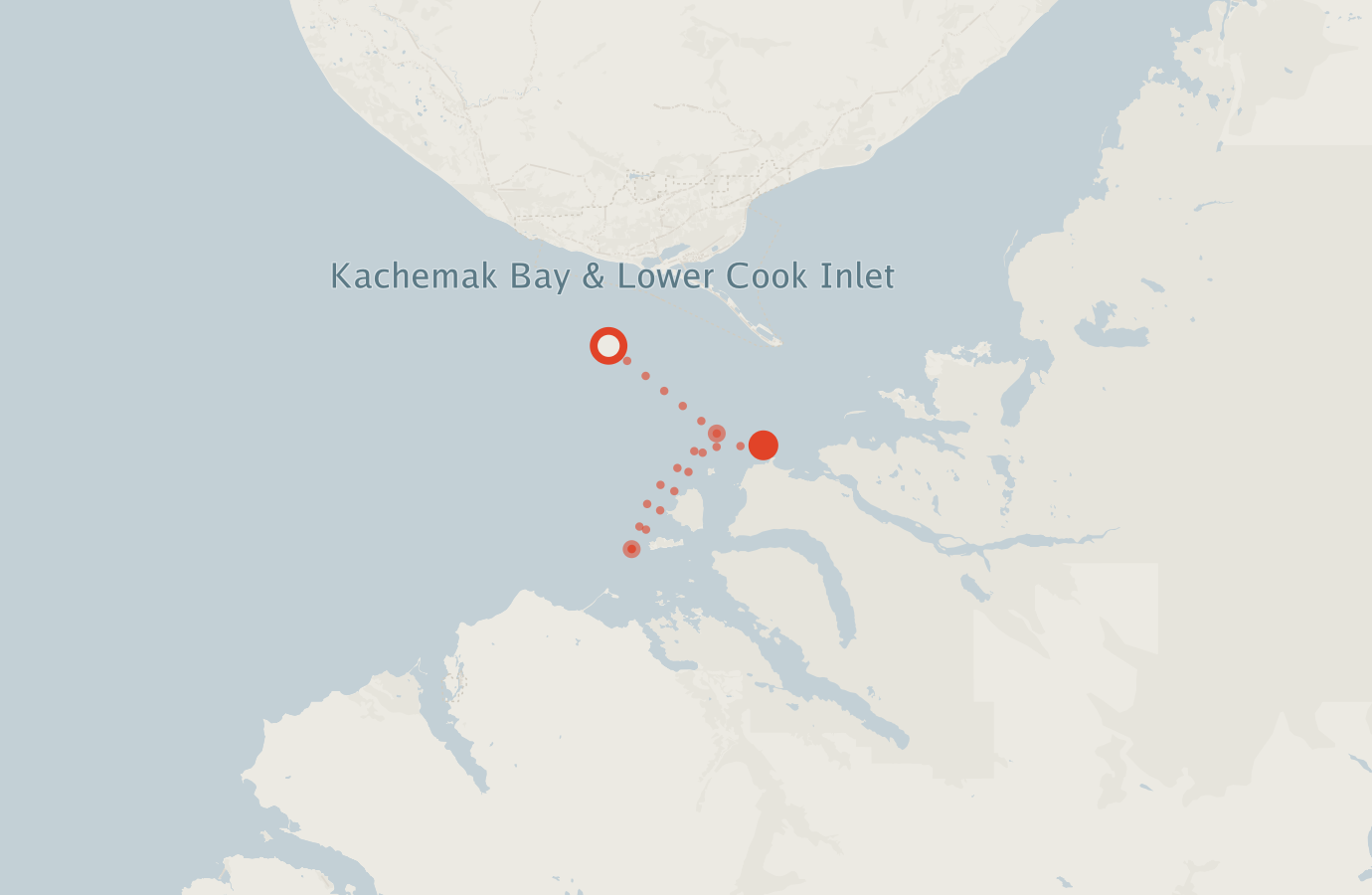 Activity map — real sighting points on an OpenStreetMap basemap