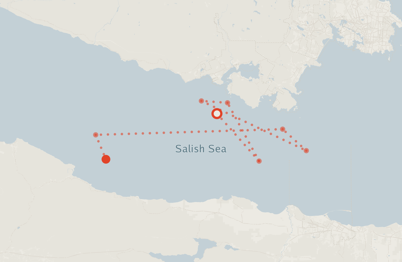 Activity map — real sighting points on an OpenStreetMap basemap