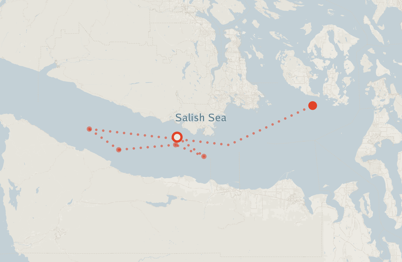 Activity map — real sighting points on an OpenStreetMap basemap