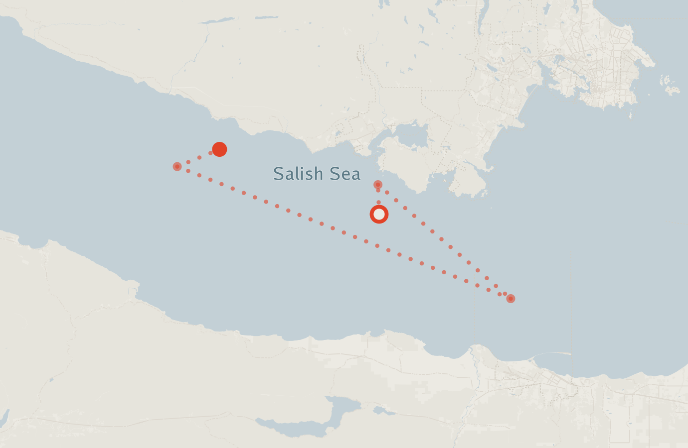 Activity map — real sighting points on an OpenStreetMap basemap
