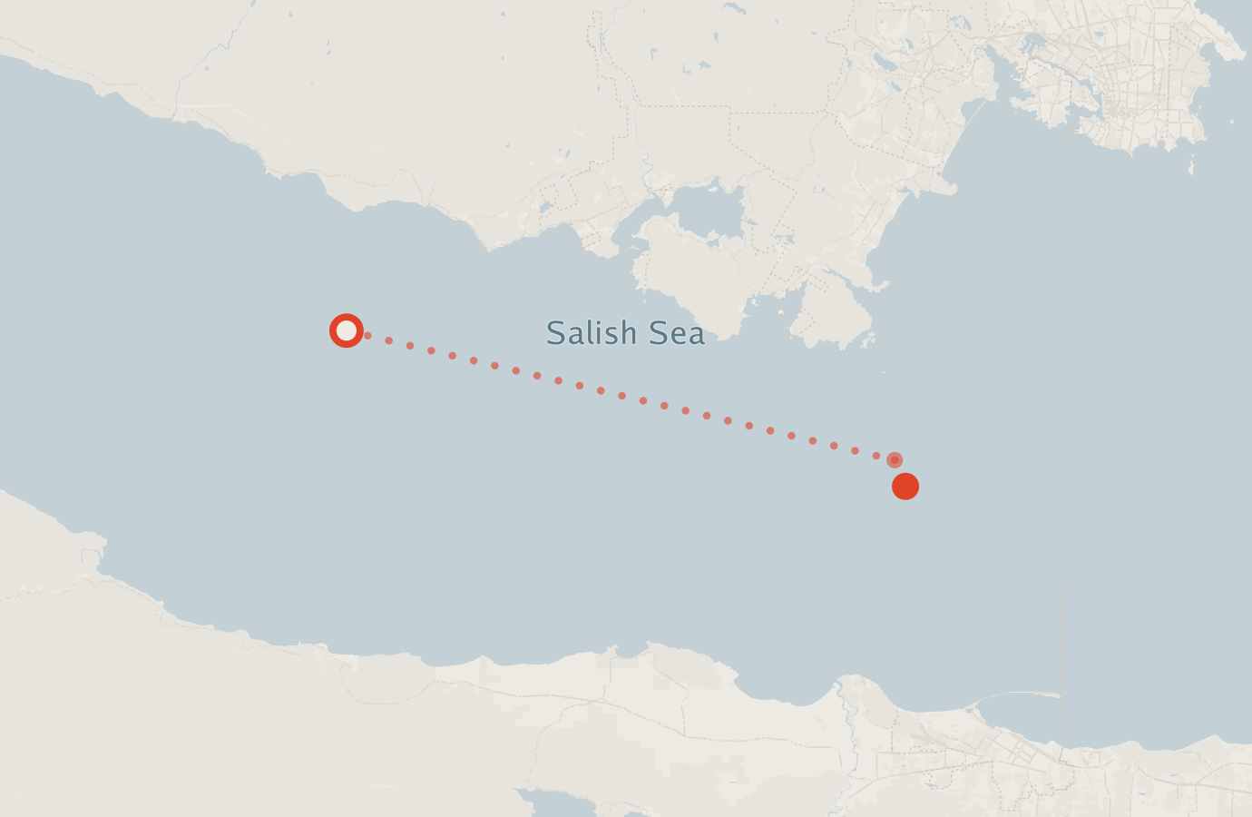 Activity map — real sighting points on an OpenStreetMap basemap
