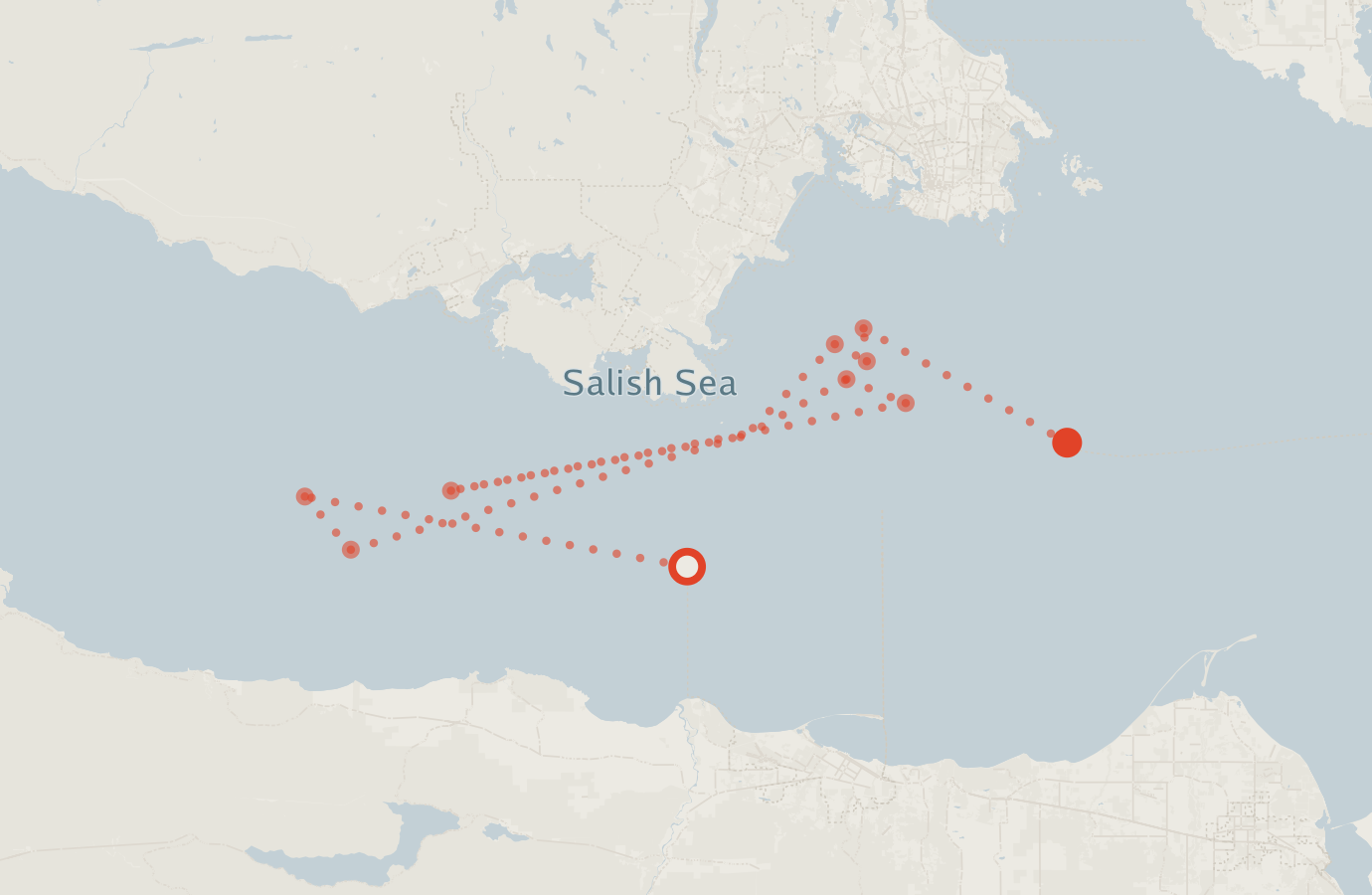 Activity map — real sighting points on an OpenStreetMap basemap