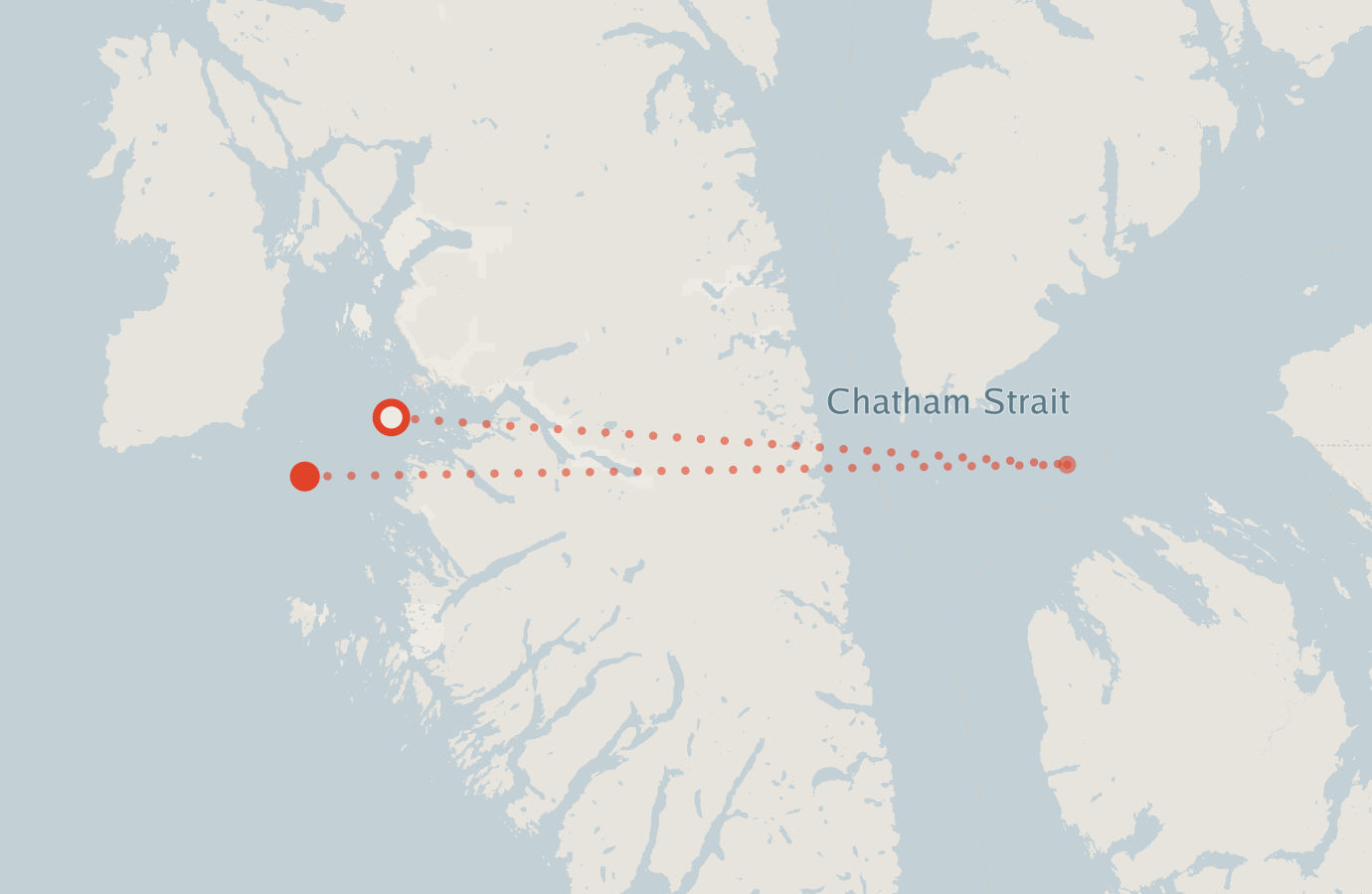 Activity map — real sighting points on an OpenStreetMap basemap