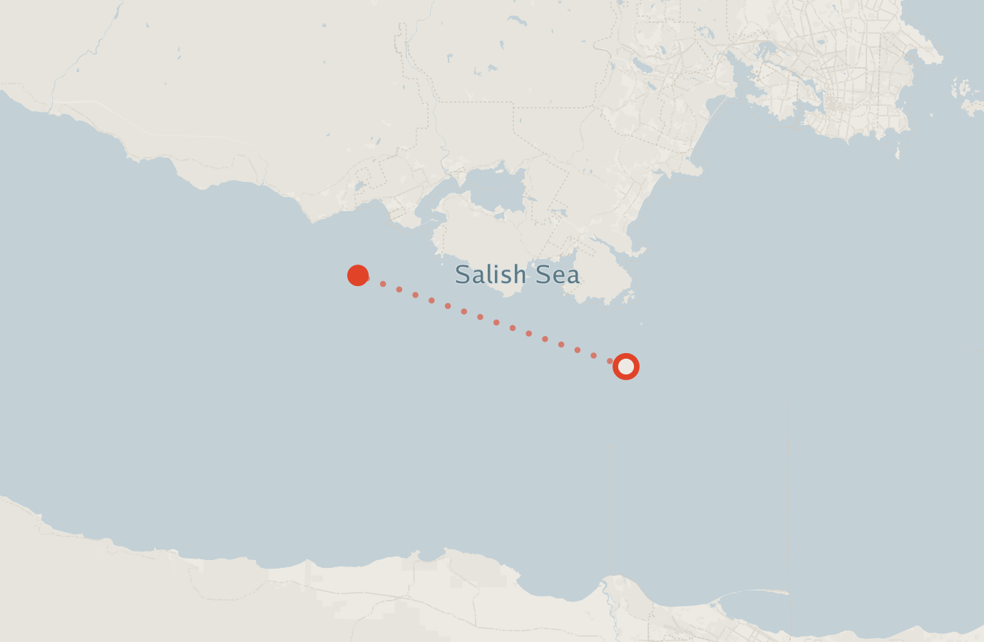 Activity map — real sighting points on an OpenStreetMap basemap