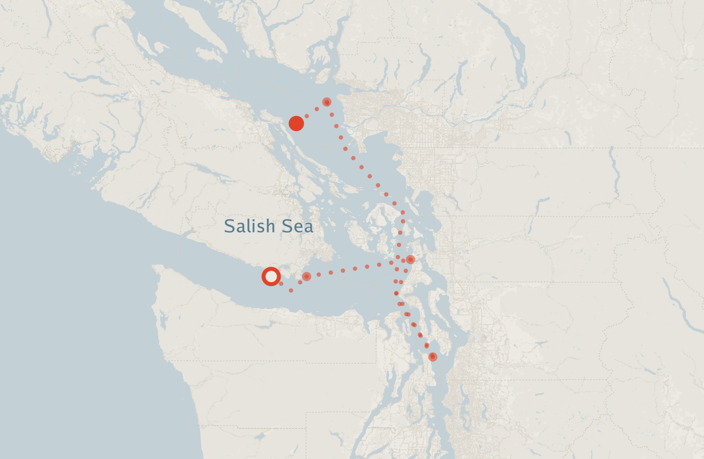 Activity map — real sighting points on an OpenStreetMap basemap