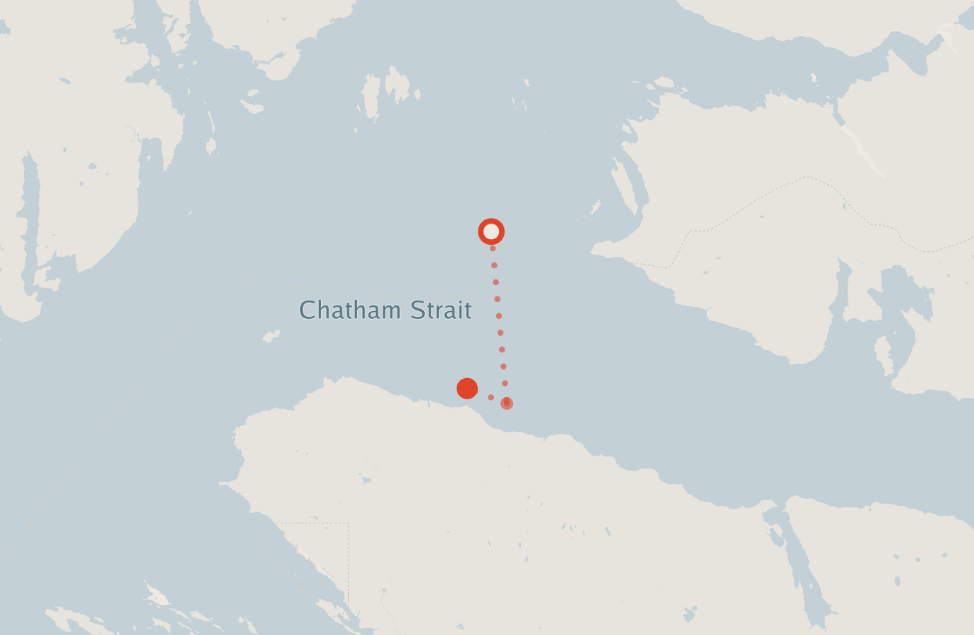 Activity map — real sighting points on an OpenStreetMap basemap