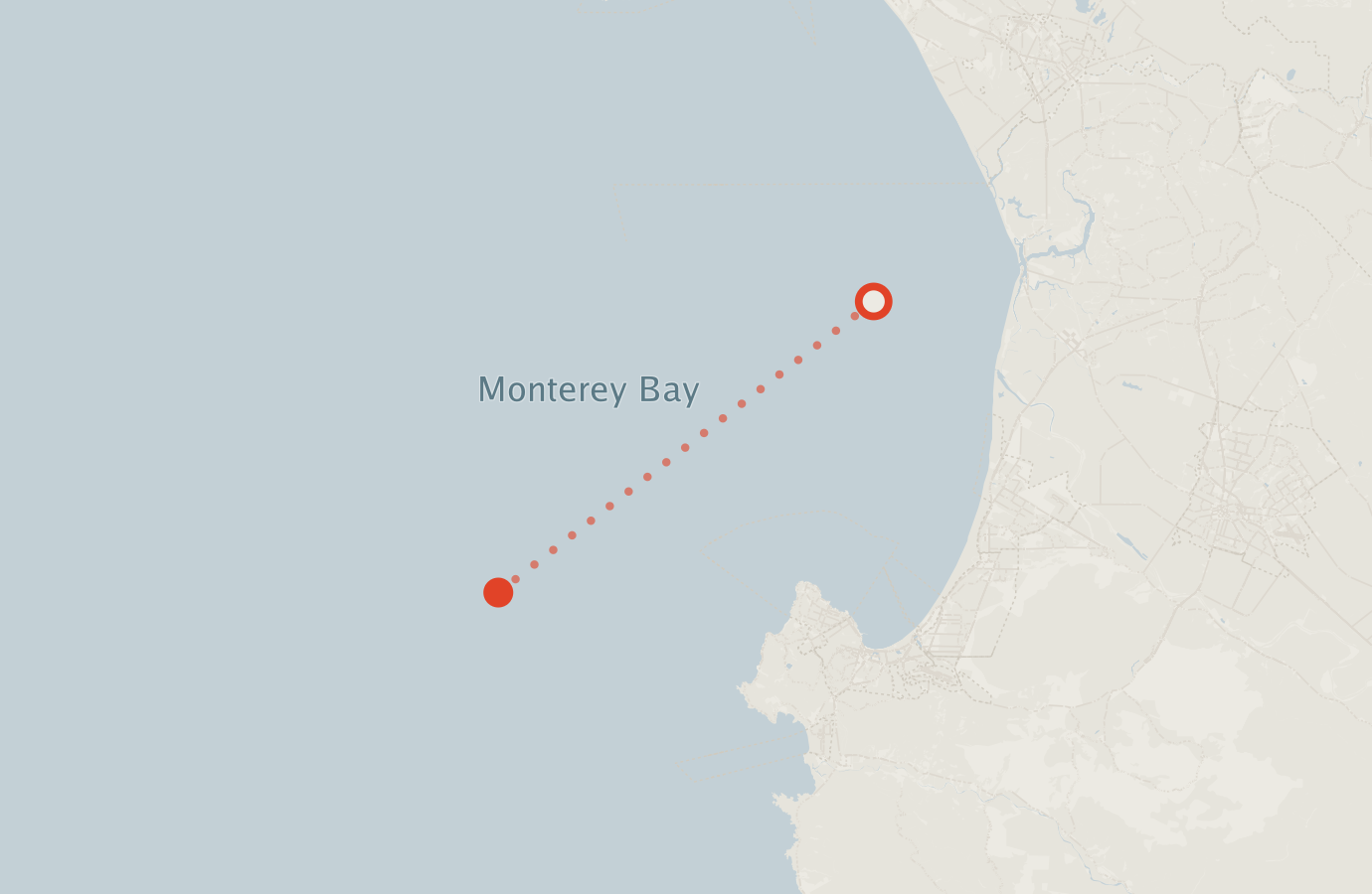 Activity map — real sighting points on an OpenStreetMap basemap