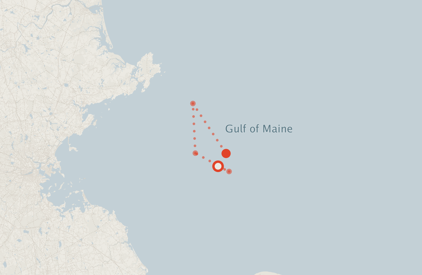 Activity map — real sighting points on an OpenStreetMap basemap