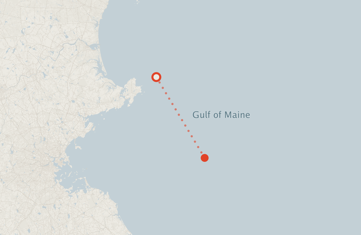 Activity map — real sighting points on an OpenStreetMap basemap