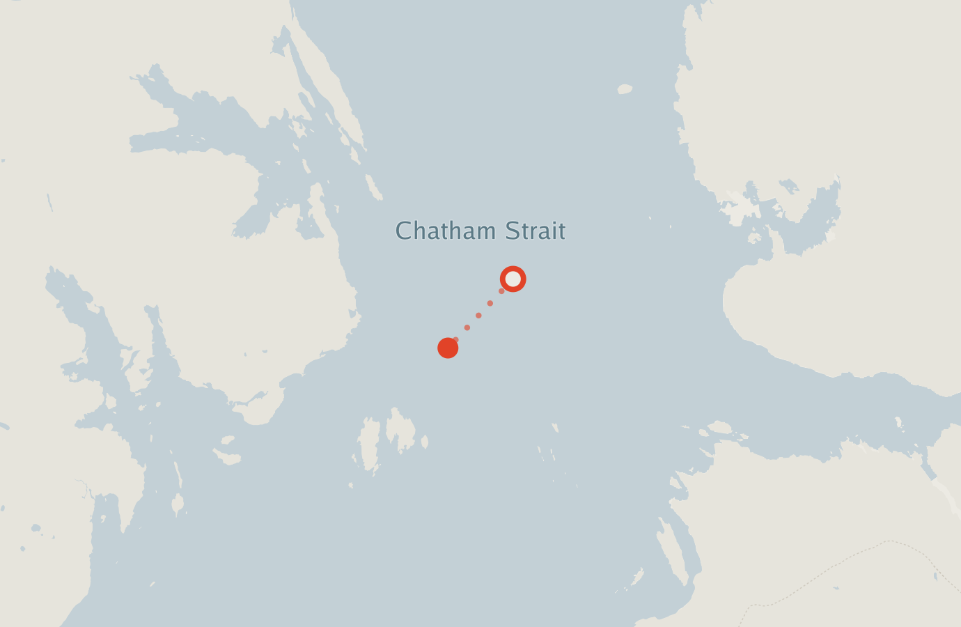 Activity map — real sighting points on an OpenStreetMap basemap