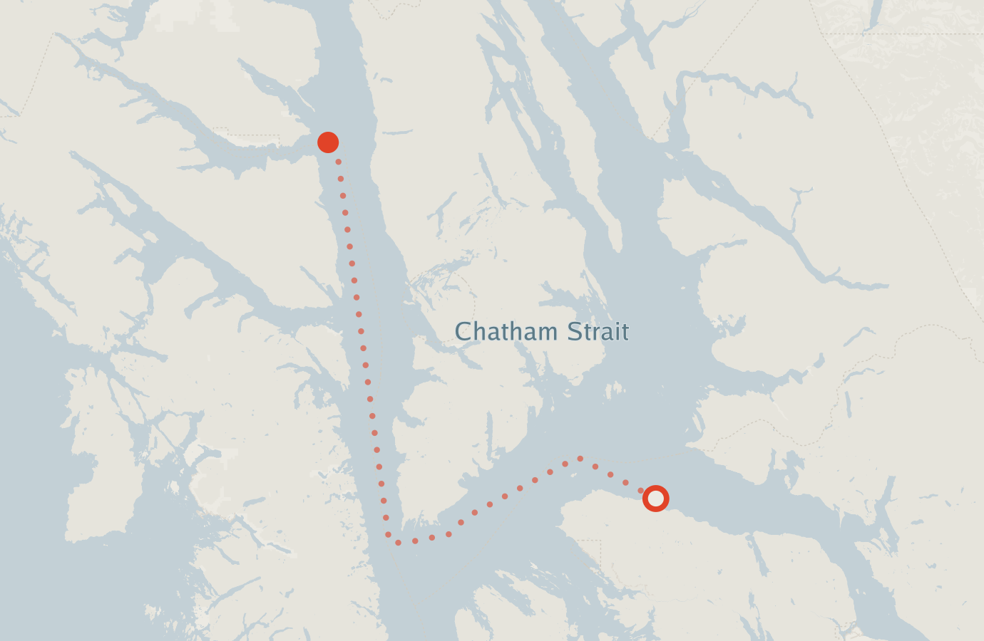 Activity map — real sighting points on an OpenStreetMap basemap