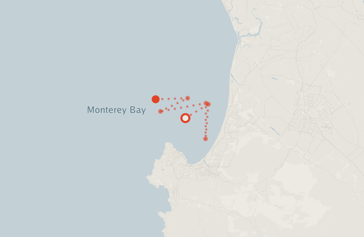 Activity map — real sighting points on an OpenStreetMap basemap