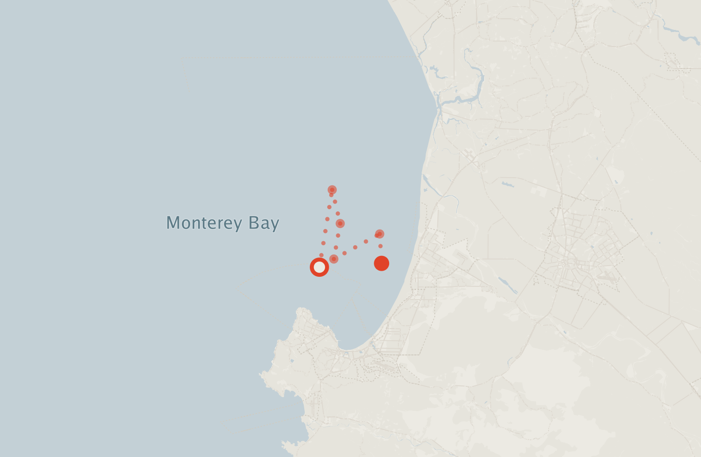 Activity map — real sighting points on an OpenStreetMap basemap
