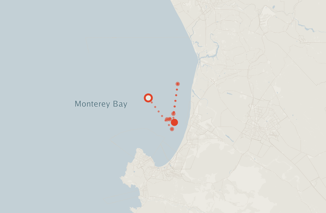 Activity map — real sighting points on an OpenStreetMap basemap