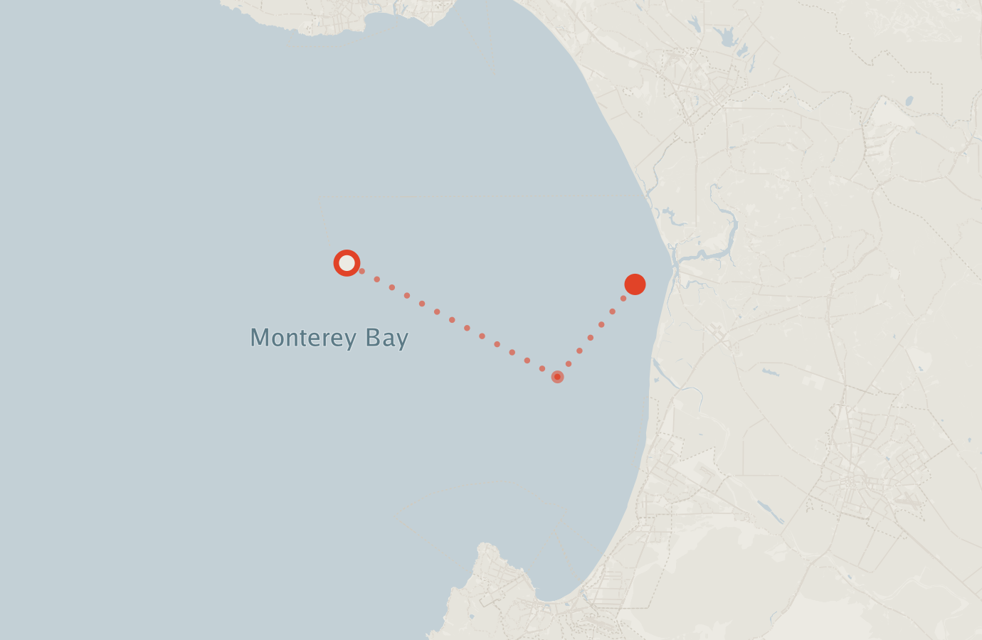 Activity map — real sighting points on an OpenStreetMap basemap