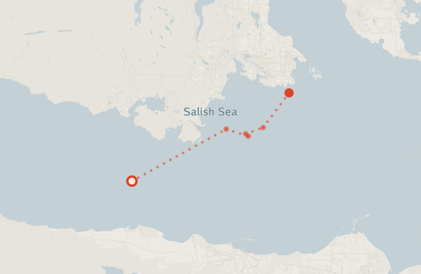 Activity map — real sighting points on an OpenStreetMap basemap