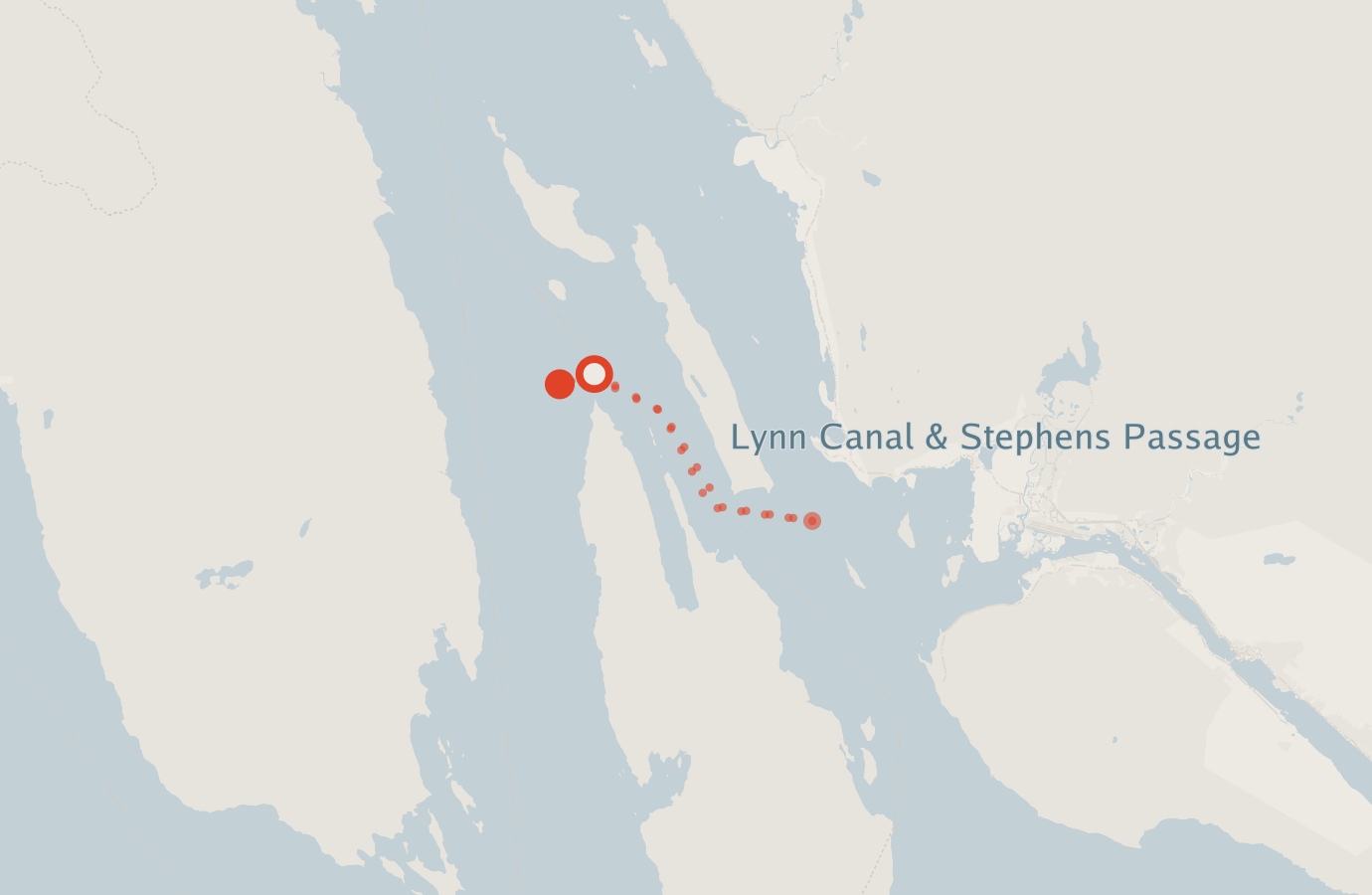 Activity map — real sighting points on an OpenStreetMap basemap