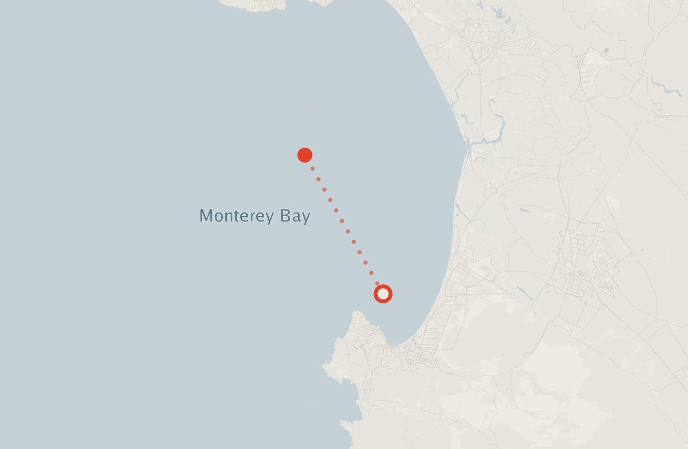 Activity map — real sighting points on an OpenStreetMap basemap
