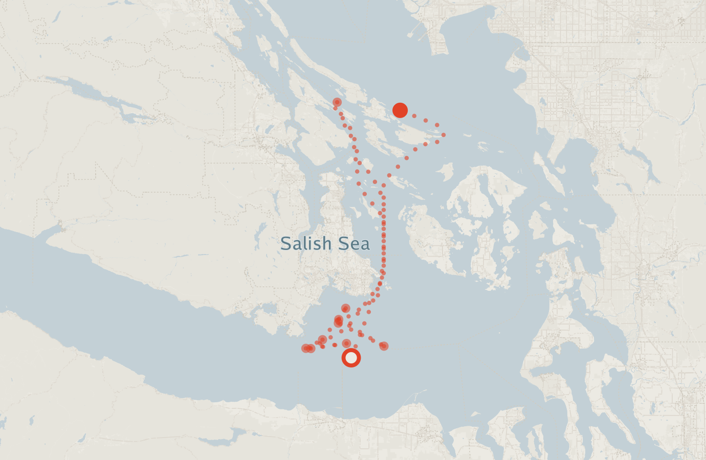 Activity map — real sighting points on an OpenStreetMap basemap